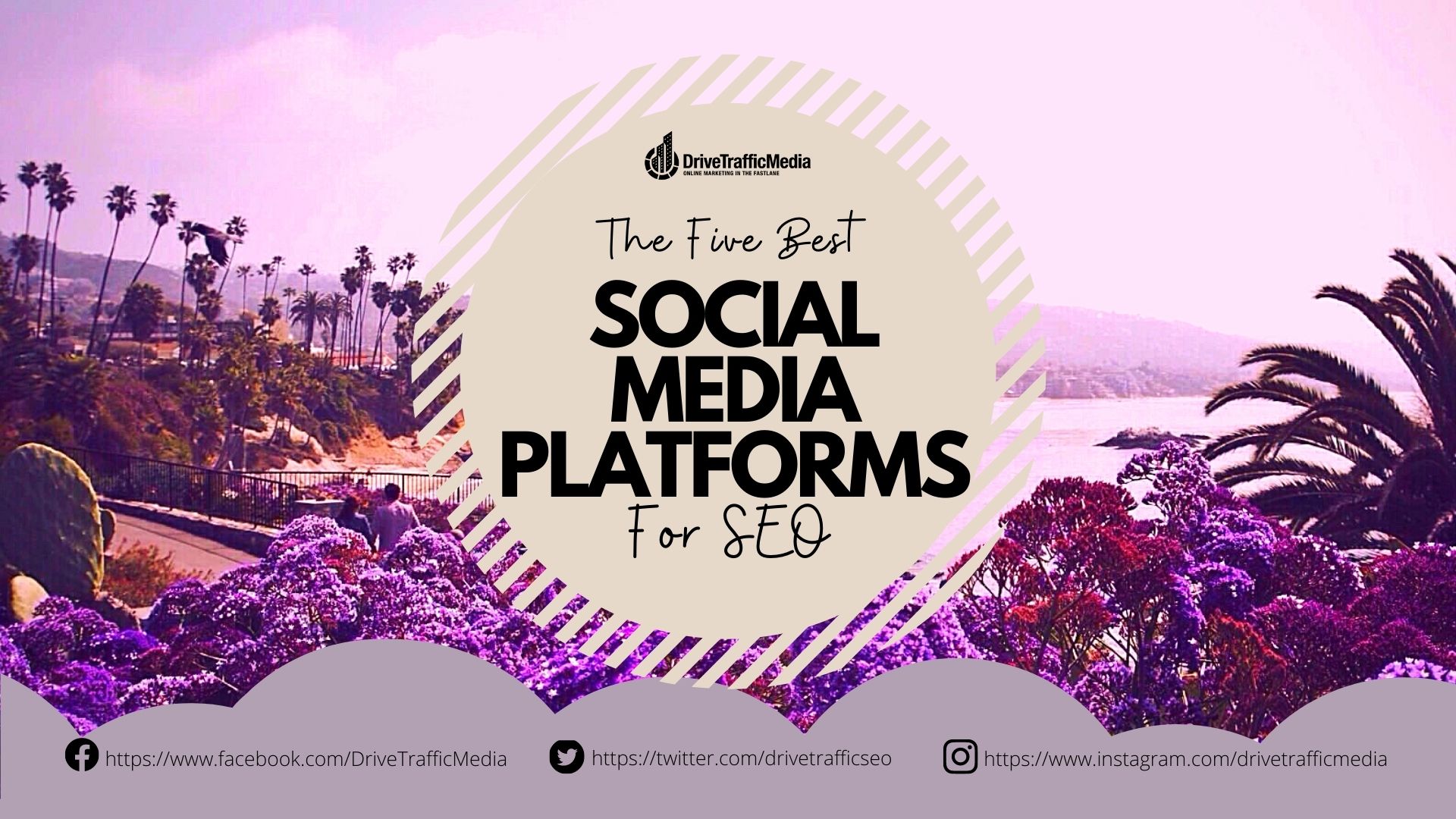 social-media-platforms-to-use-according-to-a-seo-orange-county-expert