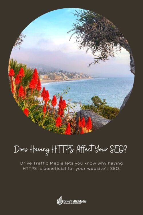 having-https-is-beneficial-for-seo-according-to-a-digital-marketing-agency-in-orange-county-Pinterest-Pin